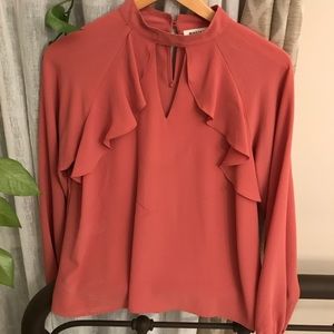 Ruffled Blush Blouse